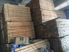 倫興倫益五金周邊家居建材聚集地 探索厚街鎮家具大道64號的家居裝飾新天地